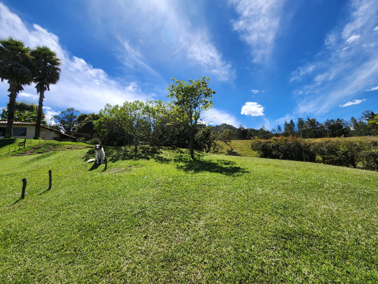 Lote en venta en El Retiro, 5000 m² · foto 15 de 15