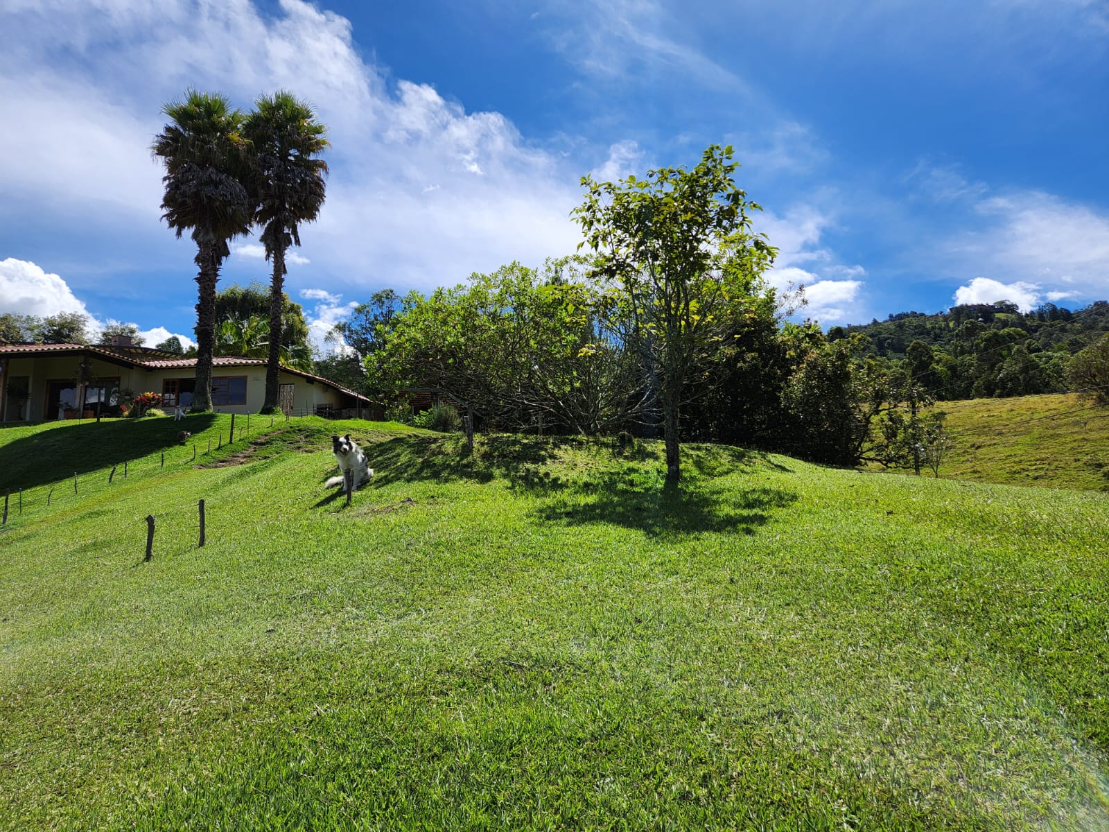 Lote en venta en El Retiro, 5000 m² · foto 4 de 15