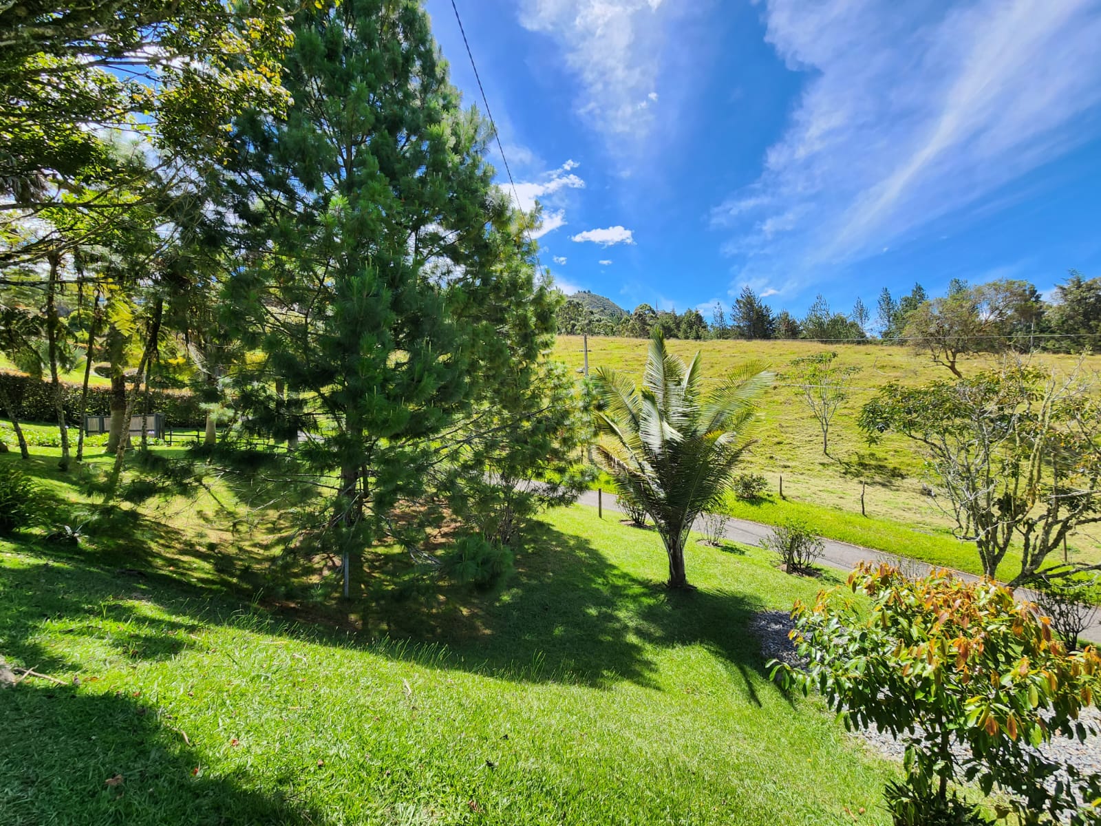 Lote en venta en El Retiro, 5000 m² · foto 5 de 15
