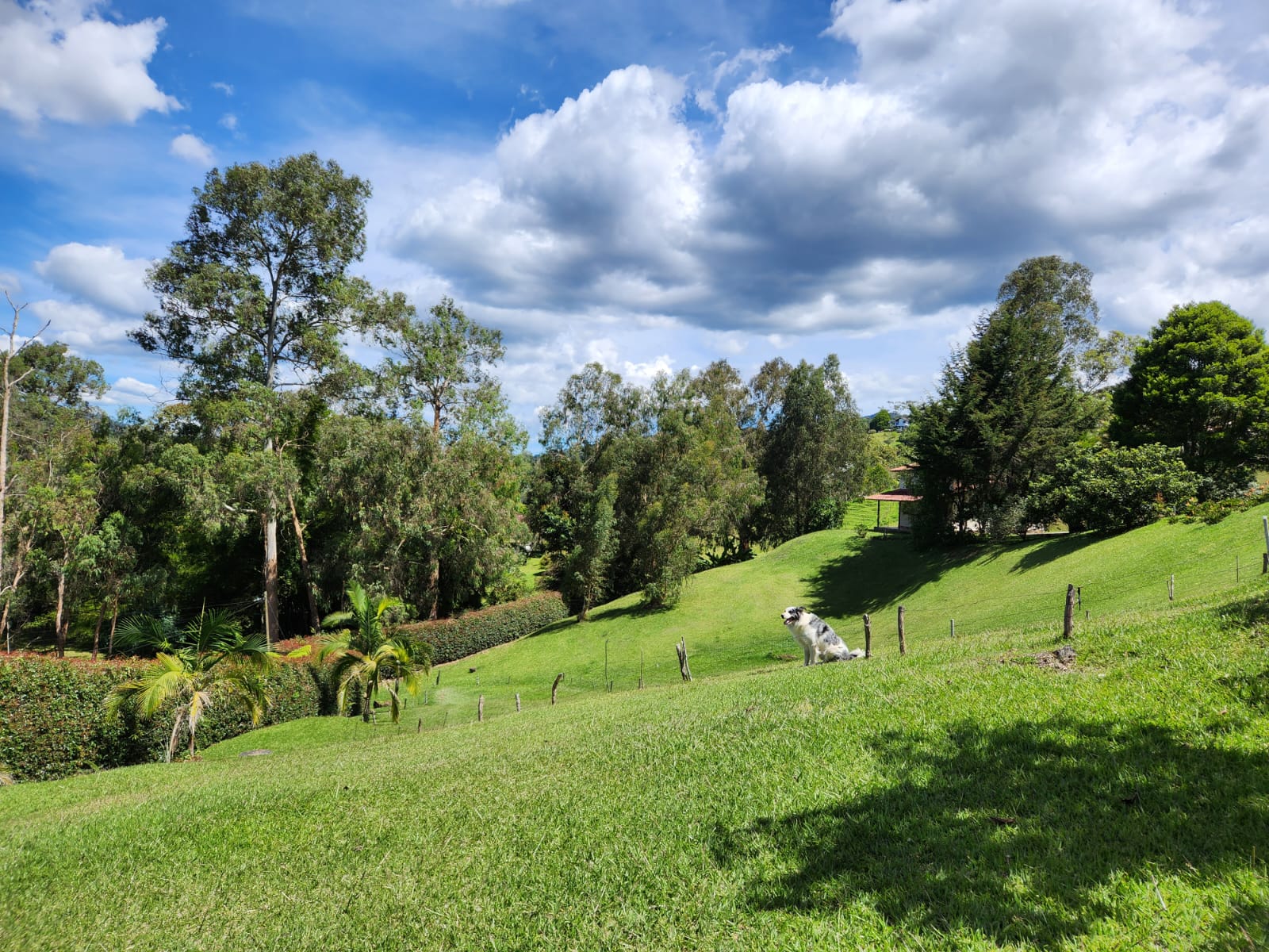Lote en venta en El Retiro, 5000 m² · foto 6 de 15
