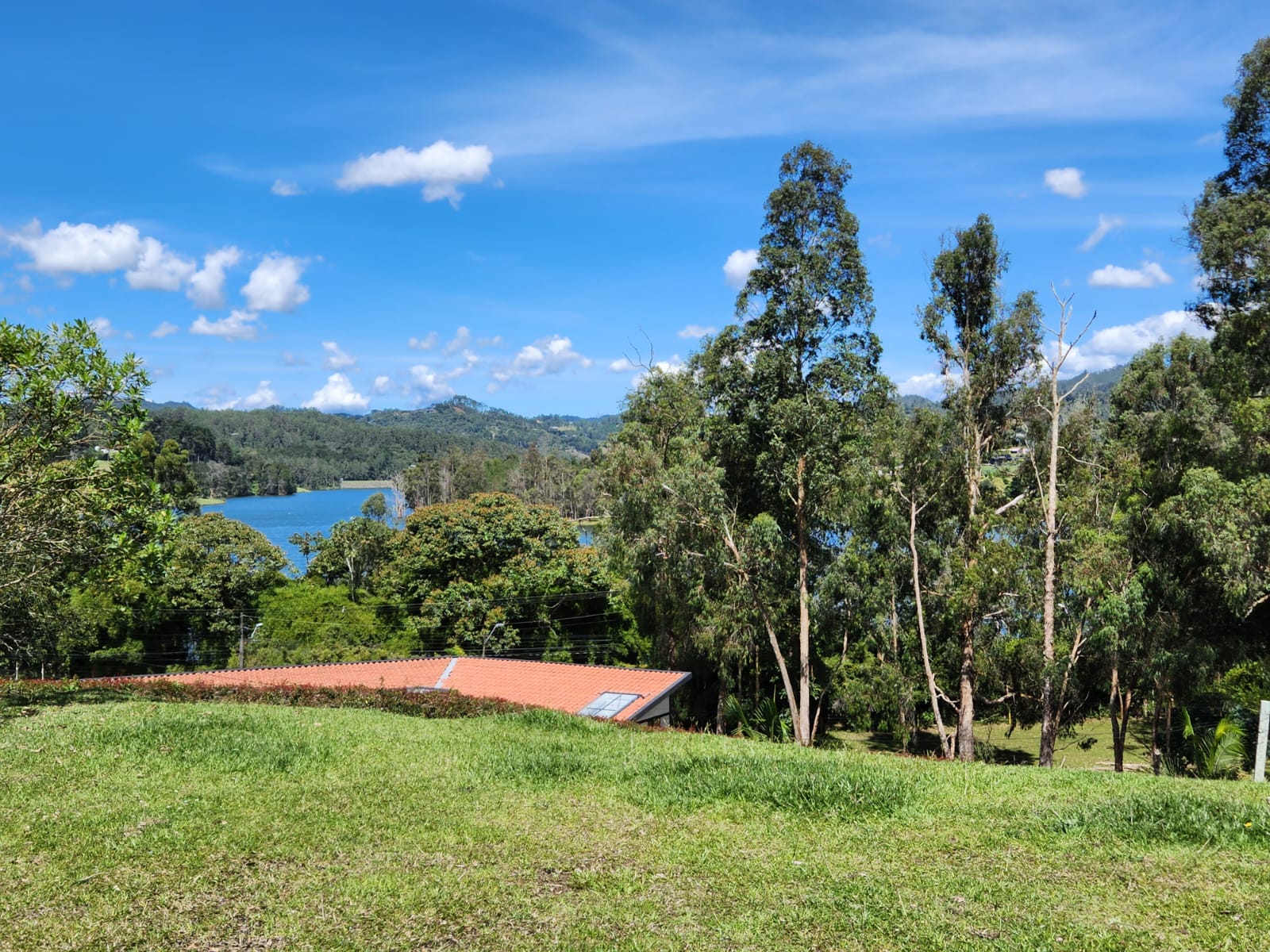 Lote en venta en El Retiro, 5000 m² · foto 9 de 15