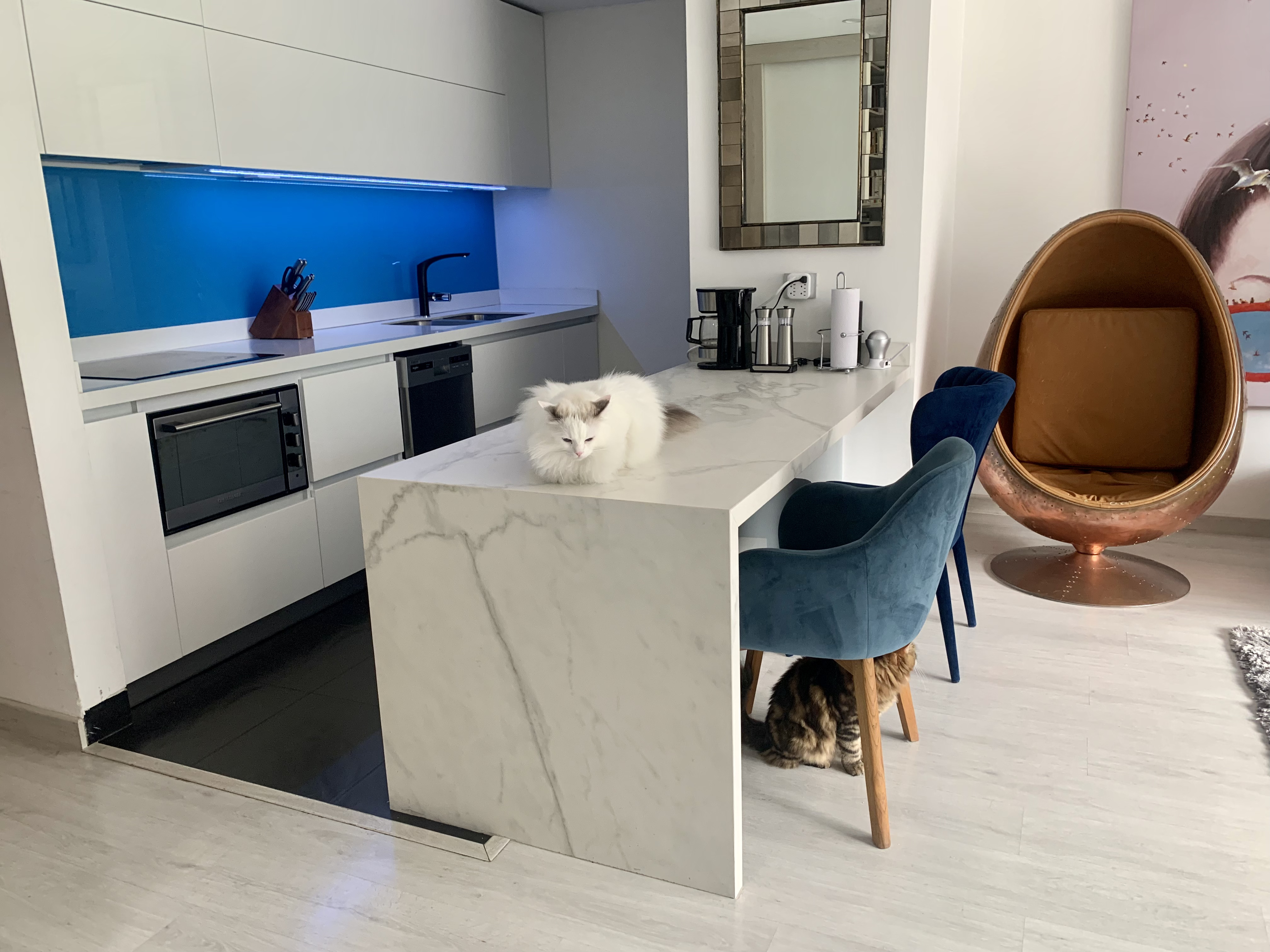 Apartamento en venta en Chapinero Alto, Bogotá · foto 4 de 22