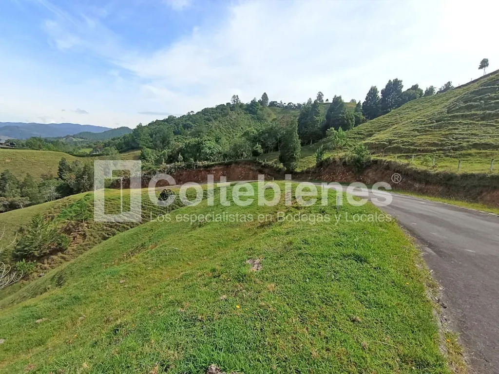 Lote en venta en Pantanillo, El Retiro, 9249 m² · foto 3 de 20