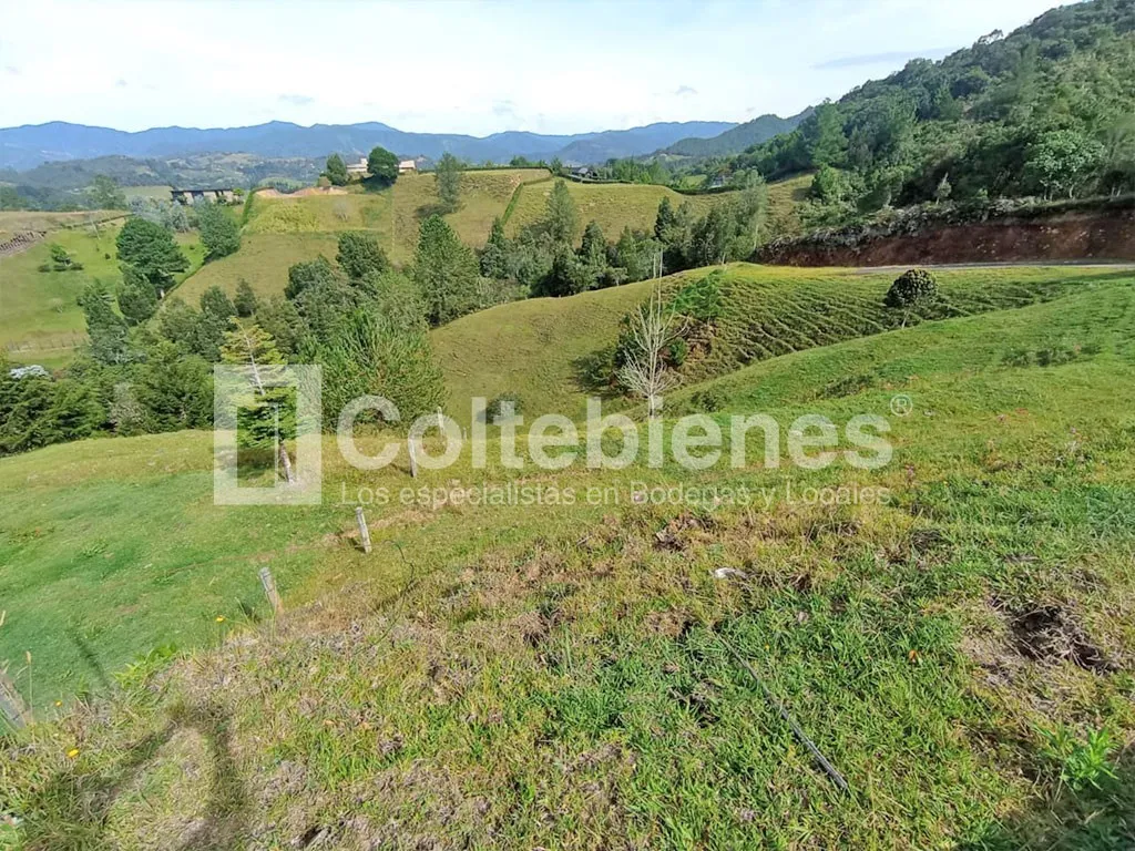Lote en venta en Pantanillo, El Retiro, 9249 m² · foto 5 de 20