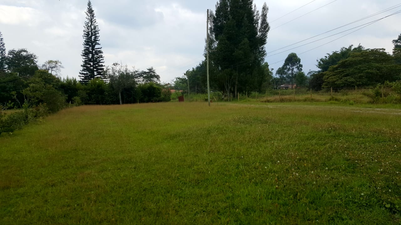 Finca en venta en Llano Grande, Rionegro, 15955 m² · foto 13 de 17