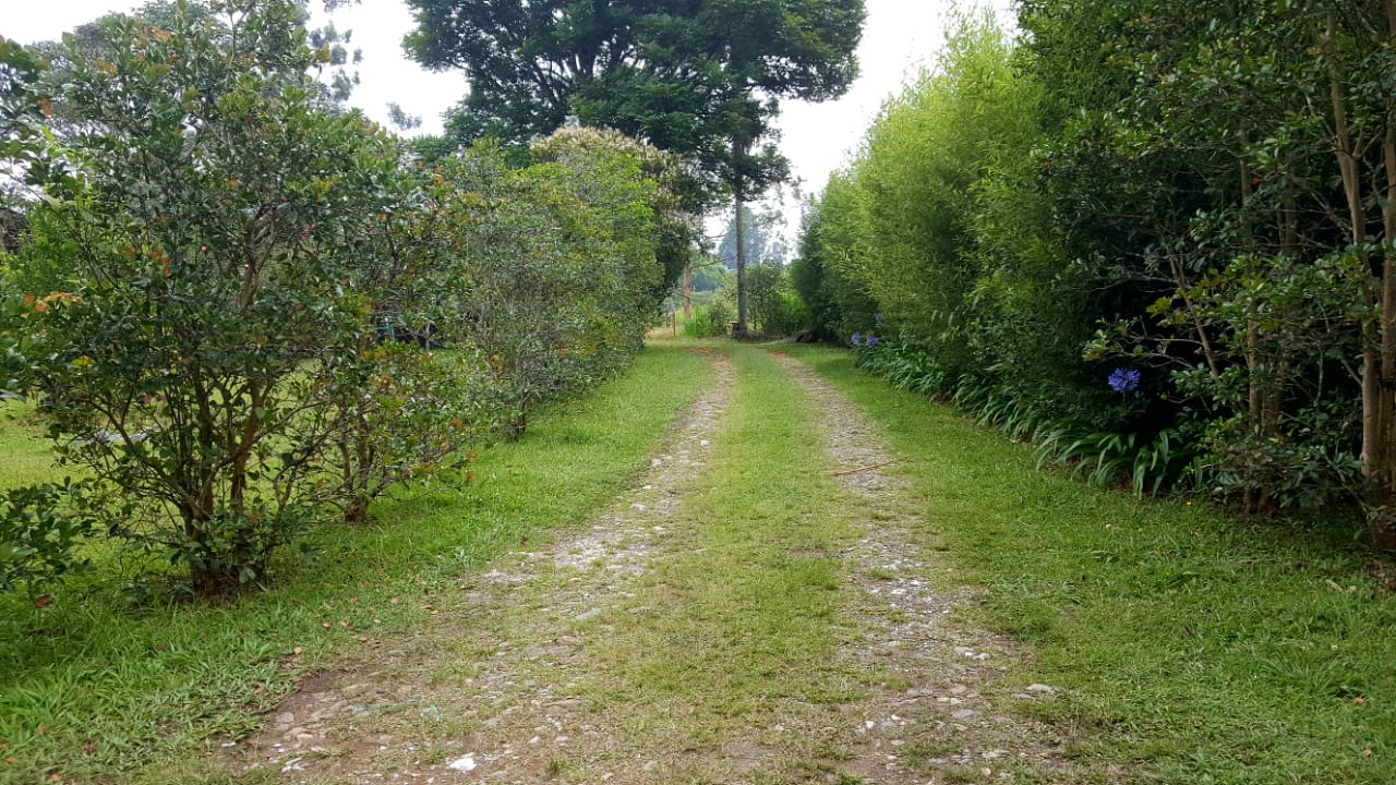 Finca en venta en Llano Grande, Rionegro, 15955 m² · foto 14 de 17