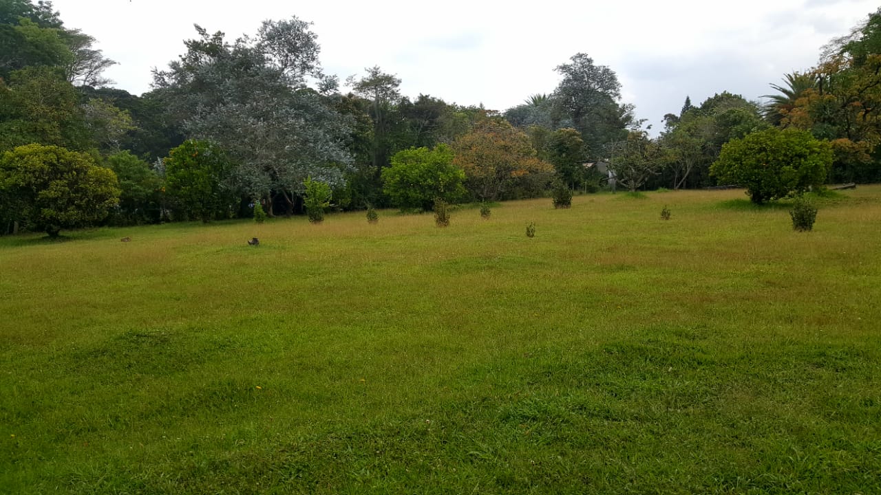 Finca en venta en Llano Grande, Rionegro, 15955 m² · foto 15 de 17