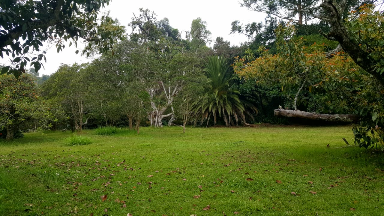Finca en venta en Llano Grande, Rionegro, 15955 m² · foto 16 de 17
