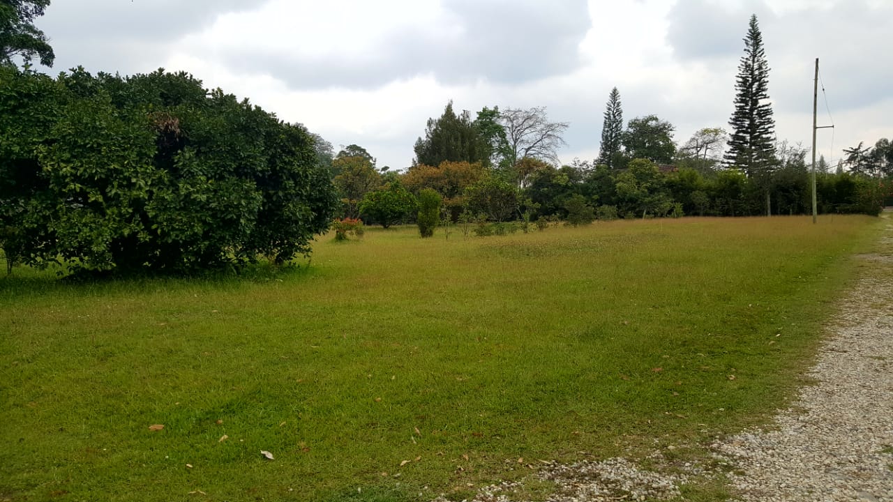 Finca en venta en Llano Grande, Rionegro, 15955 m² · foto 17 de 17