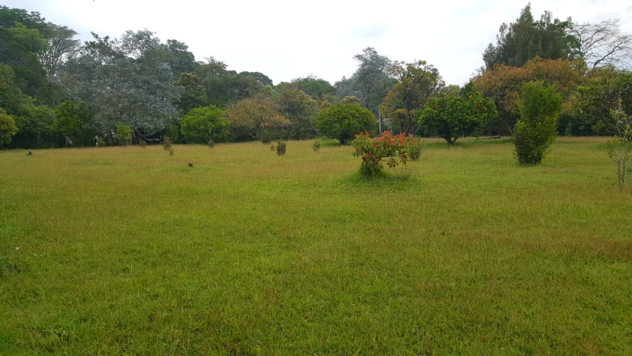 Finca en venta en Llano Grande, Rionegro, 15955 m² · foto 2 de 17