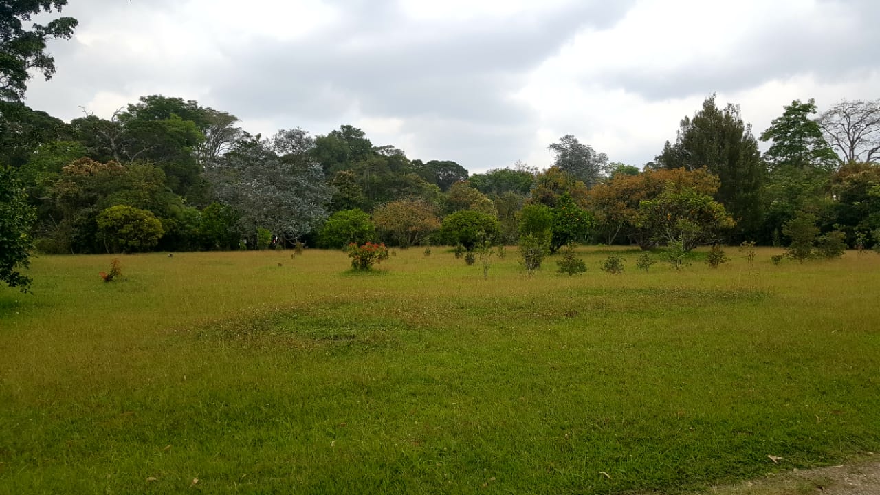 Finca en venta en Llano Grande, Rionegro, 15955 m² · foto 3 de 17