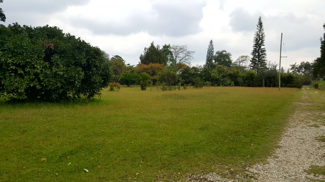 Finca en venta en Llano Grande, Rionegro, 15955 m² · foto 4 de 17