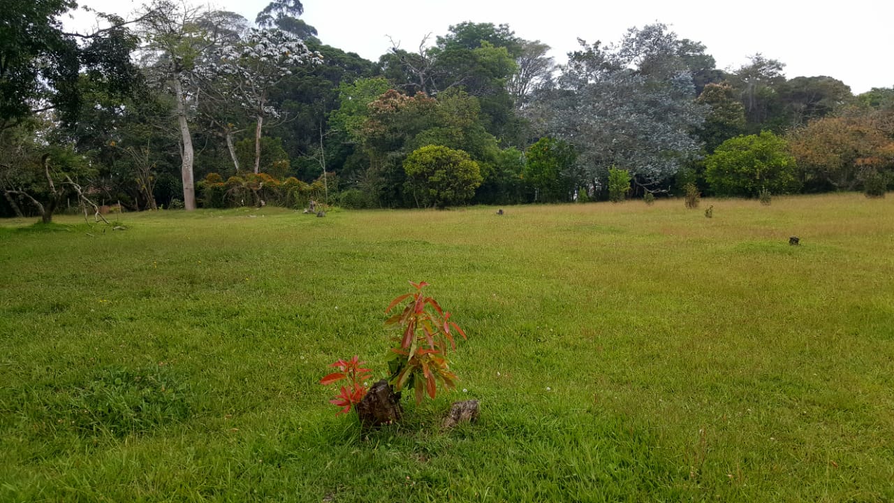 Finca en venta en Llano Grande, Rionegro, 15955 m² · foto 5 de 17