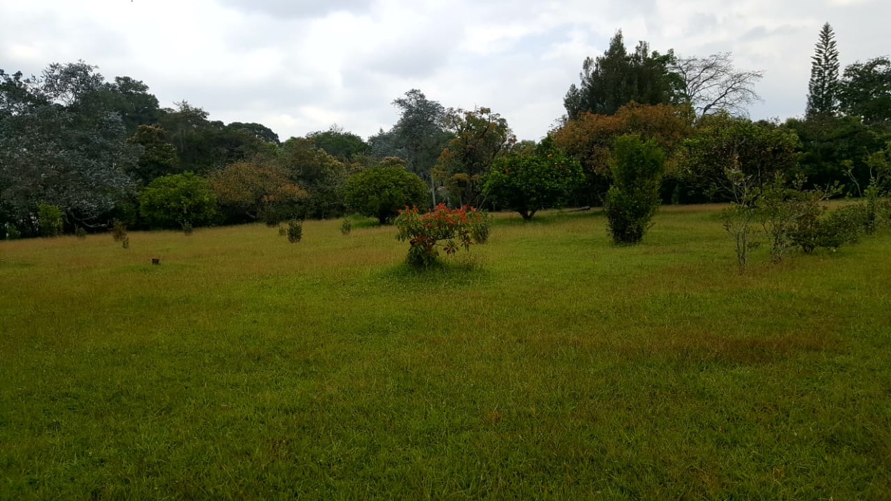 Finca en venta en Llano Grande, Rionegro, 15955 m² · foto 7 de 17