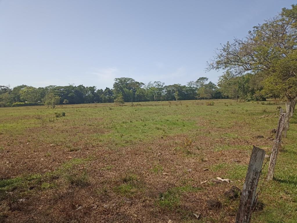 Lote en venta en Cairo Alto, Villavicencio · foto 2 de 6