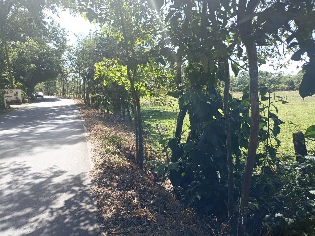 Lote en venta en Cairo Alto, Villavicencio · foto 5 de 6
