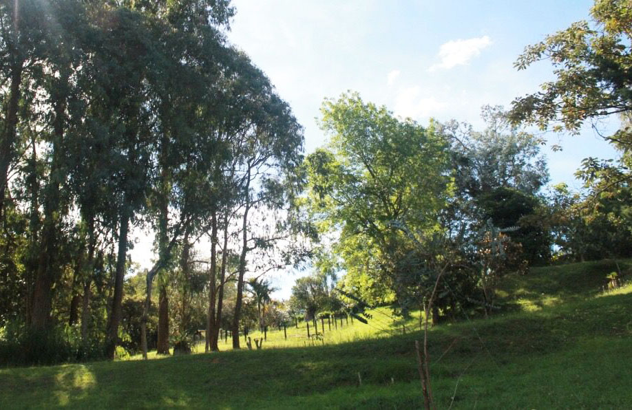Casa de 4 alcobas en venta en Sajonia, Rionegro, 252 m² · foto 10 de 12