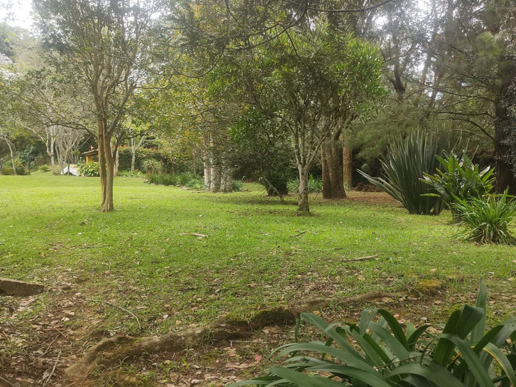 Casa de 4 alcobas en venta en Sajonia, Rionegro, 252 m² · foto 9 de 12