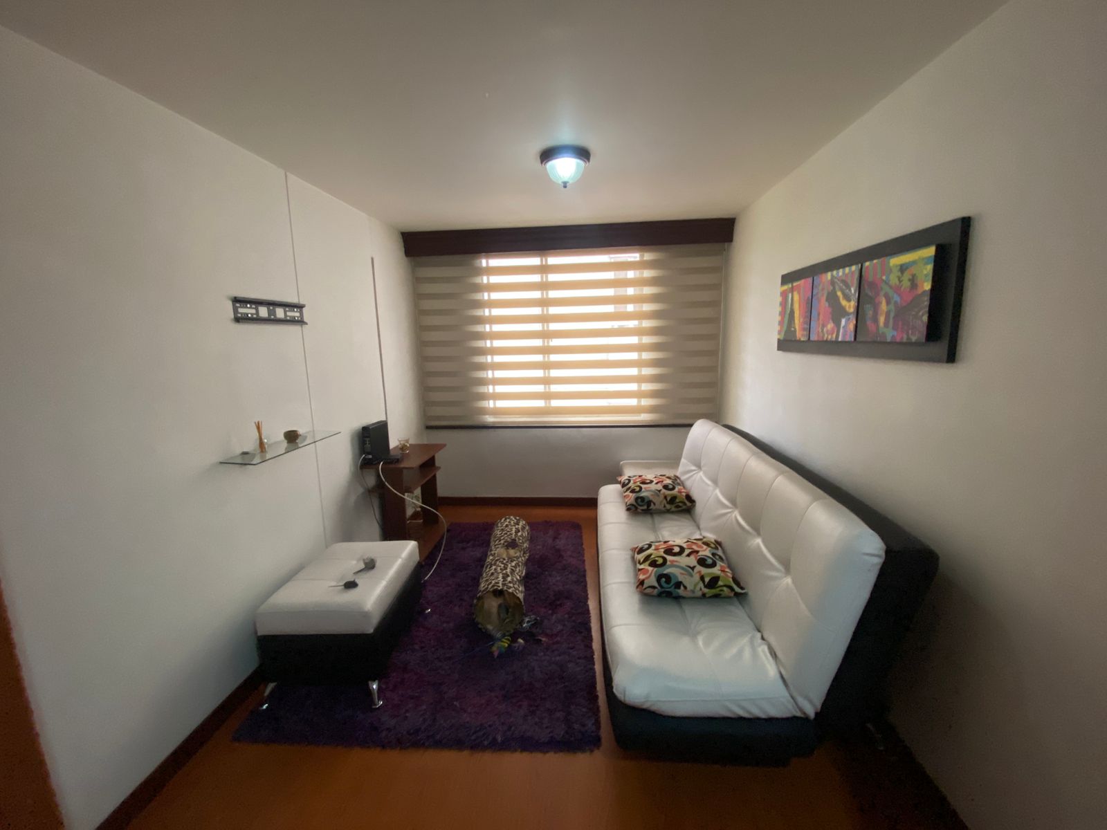 Apartamento en venta en Palermo, Manizales · foto 13 de 15