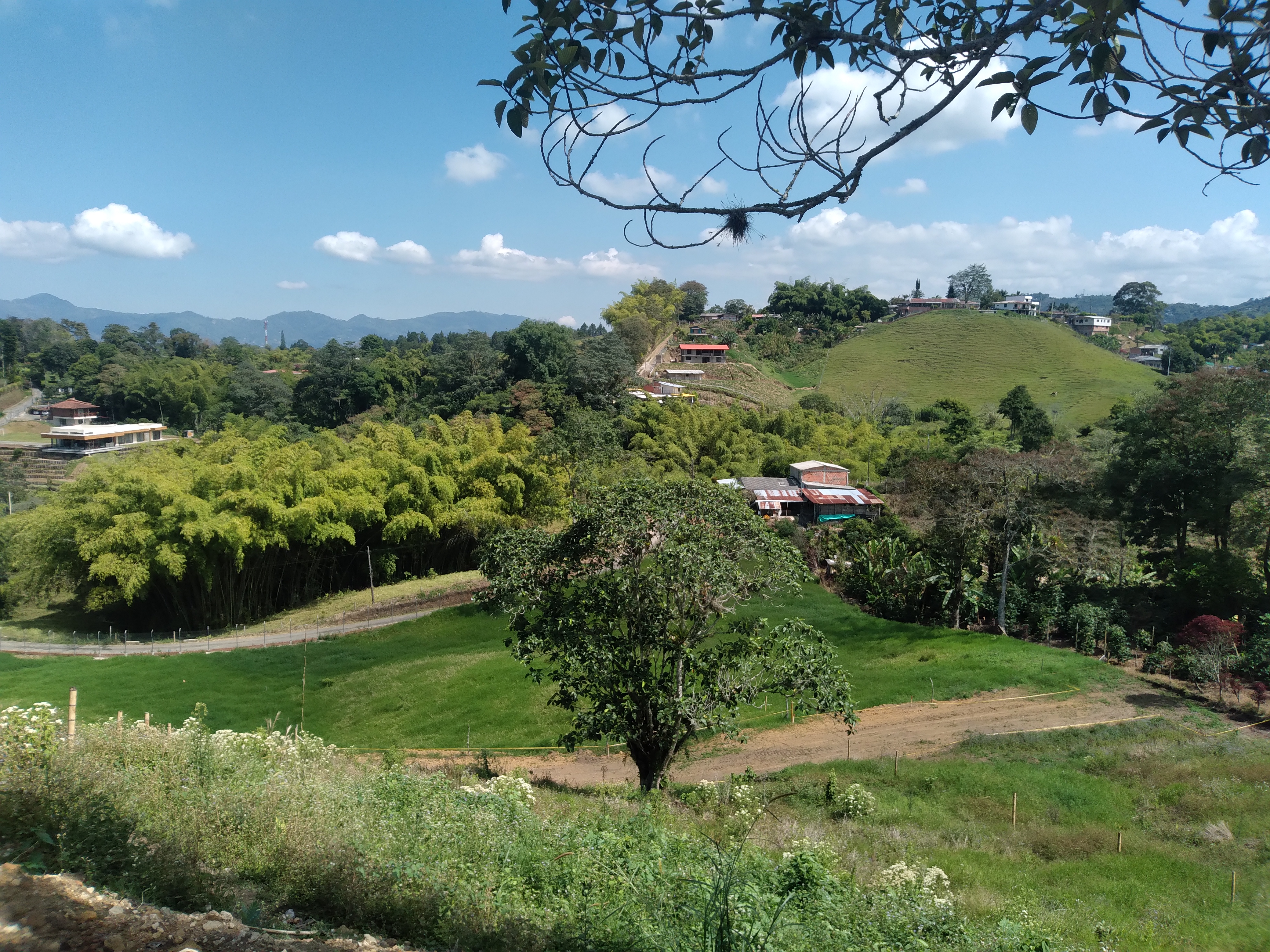 Lote en venta en Tribunas Corcega, Pereira, 1300 m² · foto 6 de 9
