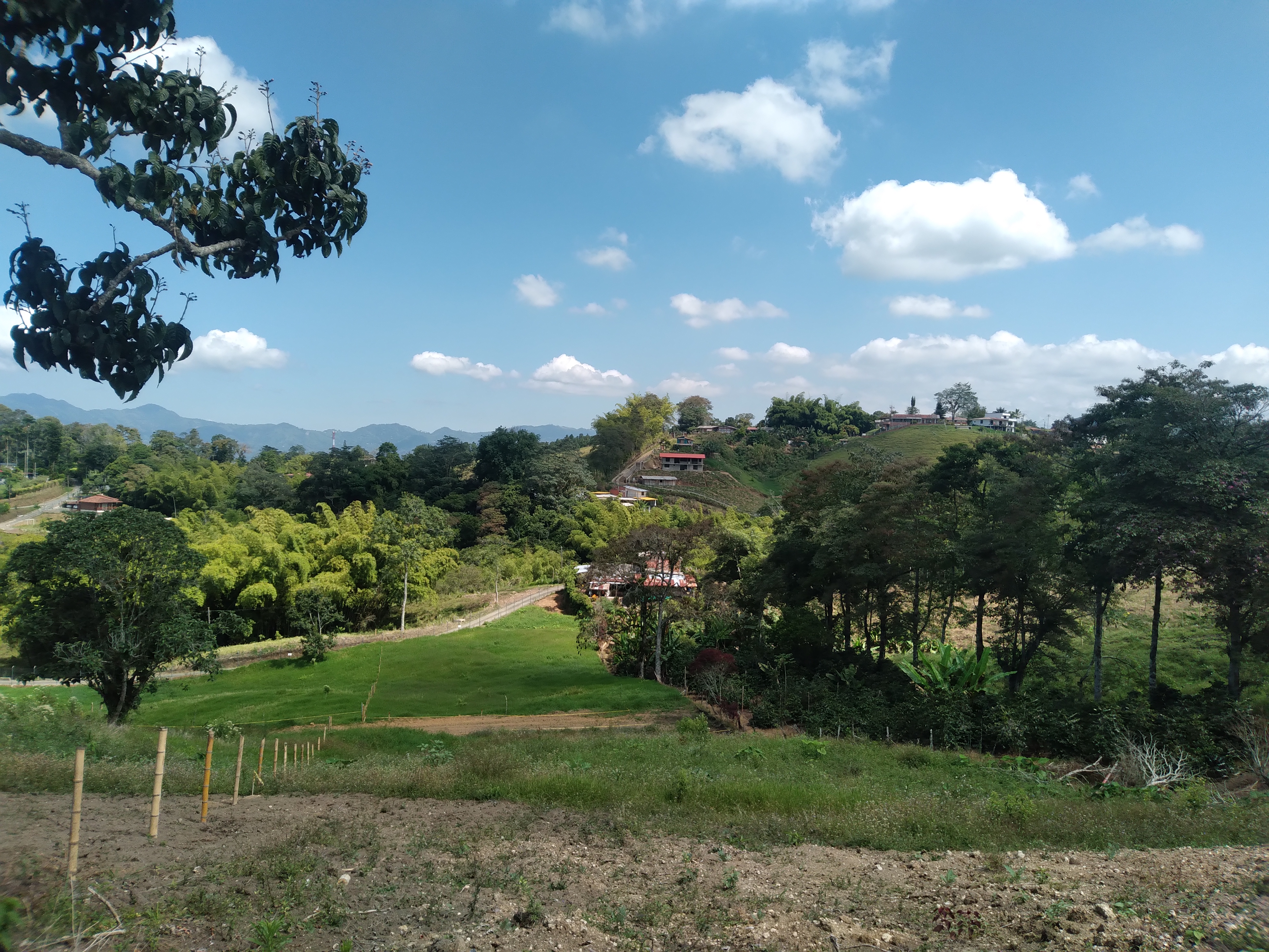 Lote en venta en Tribunas Corcega, Pereira, 1300 m² · foto 8 de 9