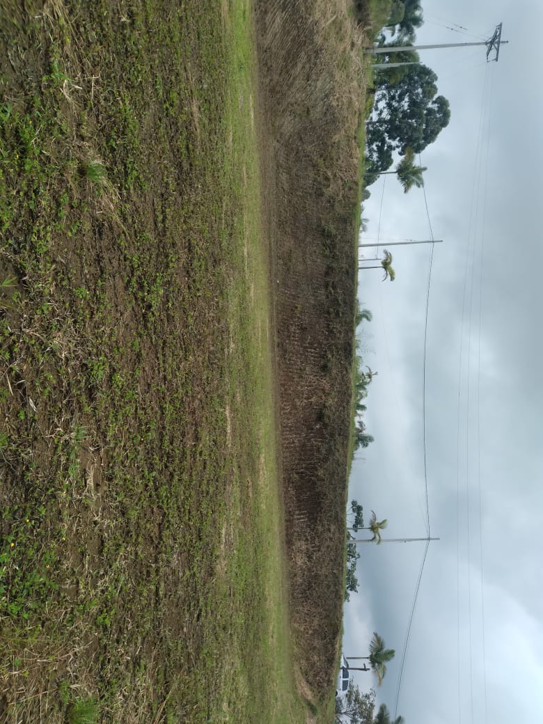 Lote en venta en Condina, Pereira, 2534 m² · foto 3 de 9