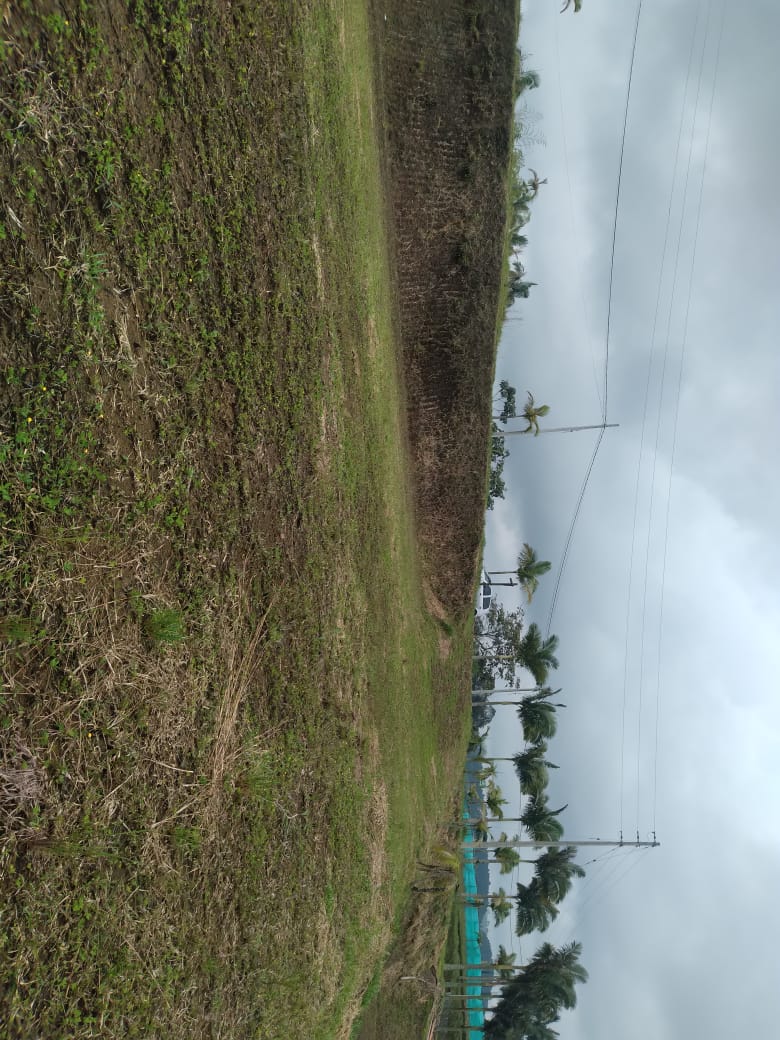 Lote en venta en Condina, Pereira, 2534 m² · foto 4 de 9