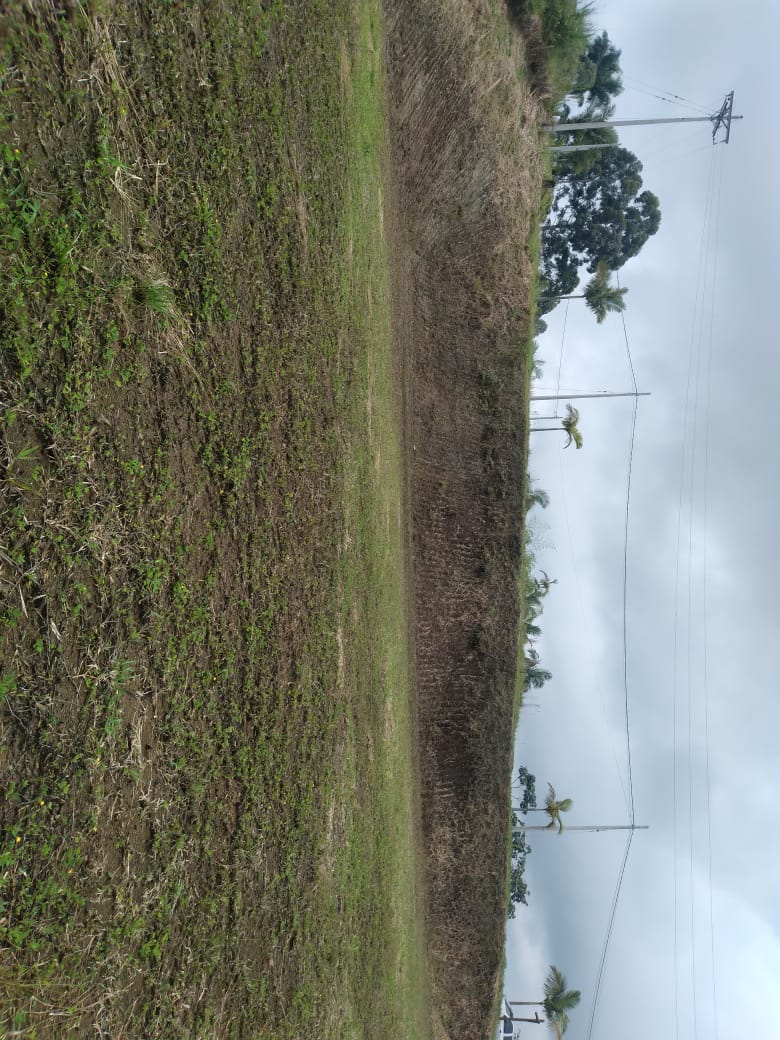 Lote en venta en Condina, Pereira, 2534 m² · foto 5 de 9