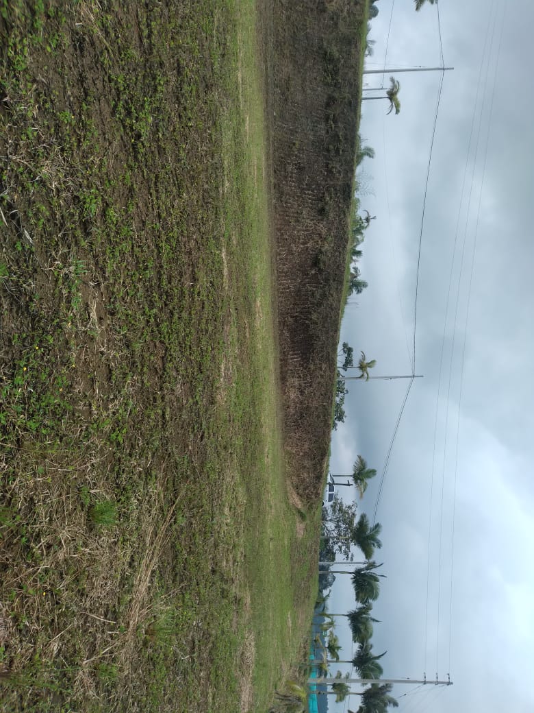 Lote en venta en Condina, Pereira, 2534 m² · foto 9 de 9