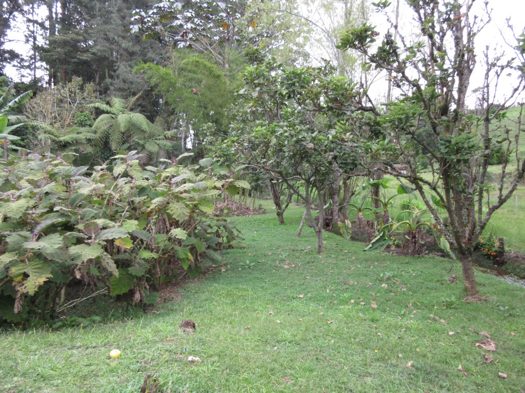 Finca en venta en El Retiro, 9890 m² · foto 18 de 24