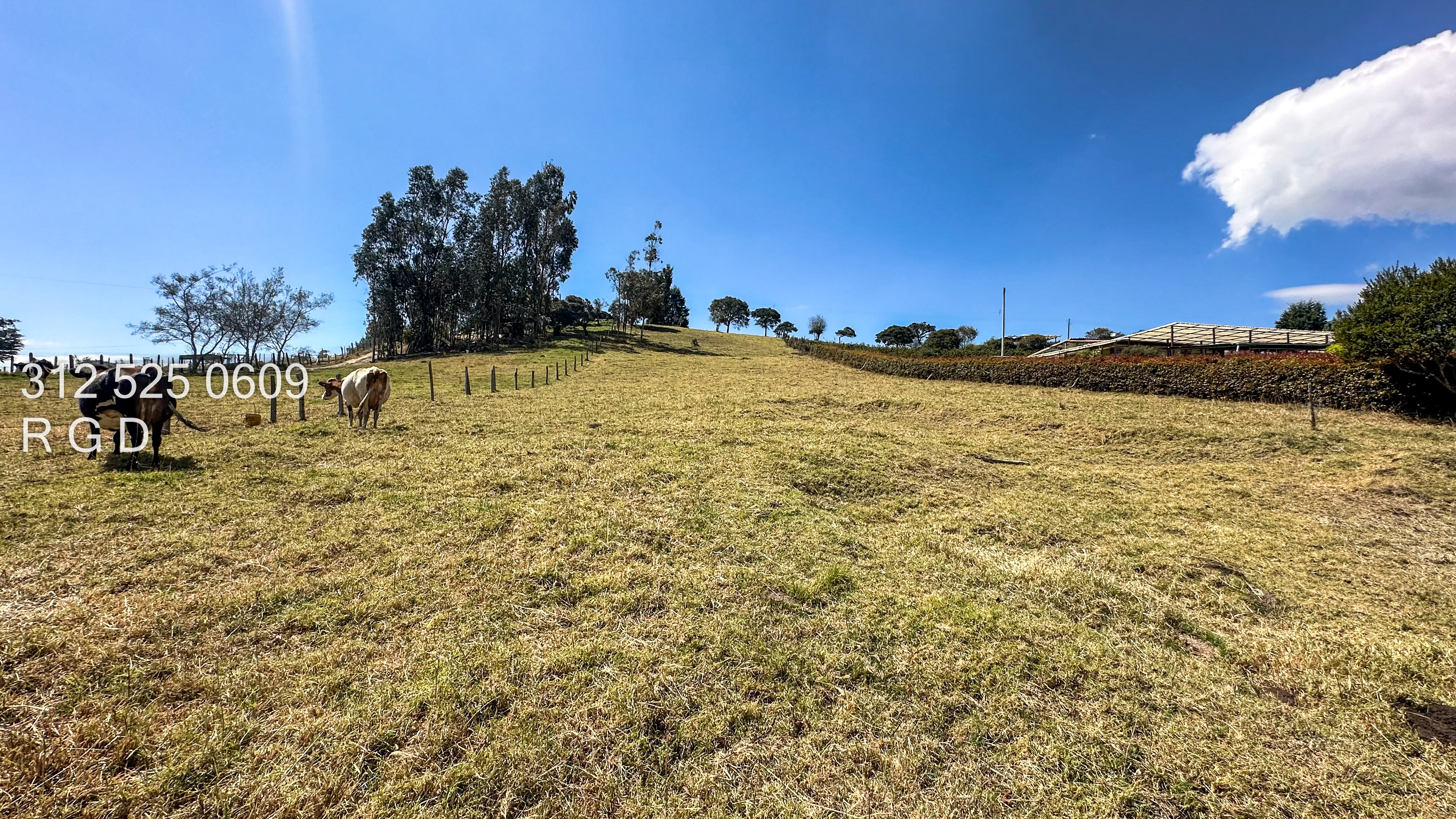 Lote en venta en Altos De Yerbabuena, Sopó, 7377 m² · foto 11 de 15