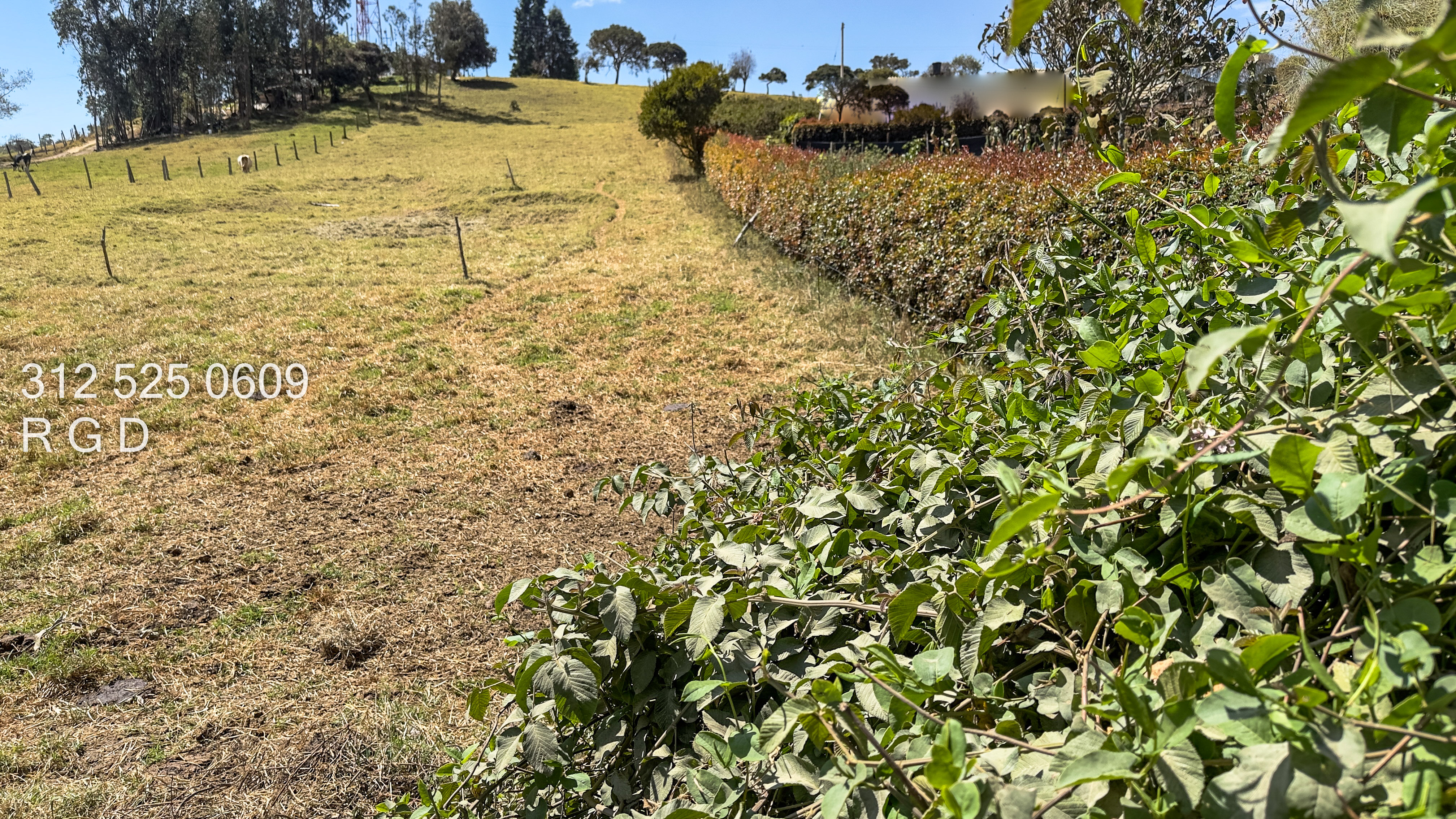 Lote en venta en Altos De Yerbabuena, Sopó, 7377 m² · foto 12 de 15