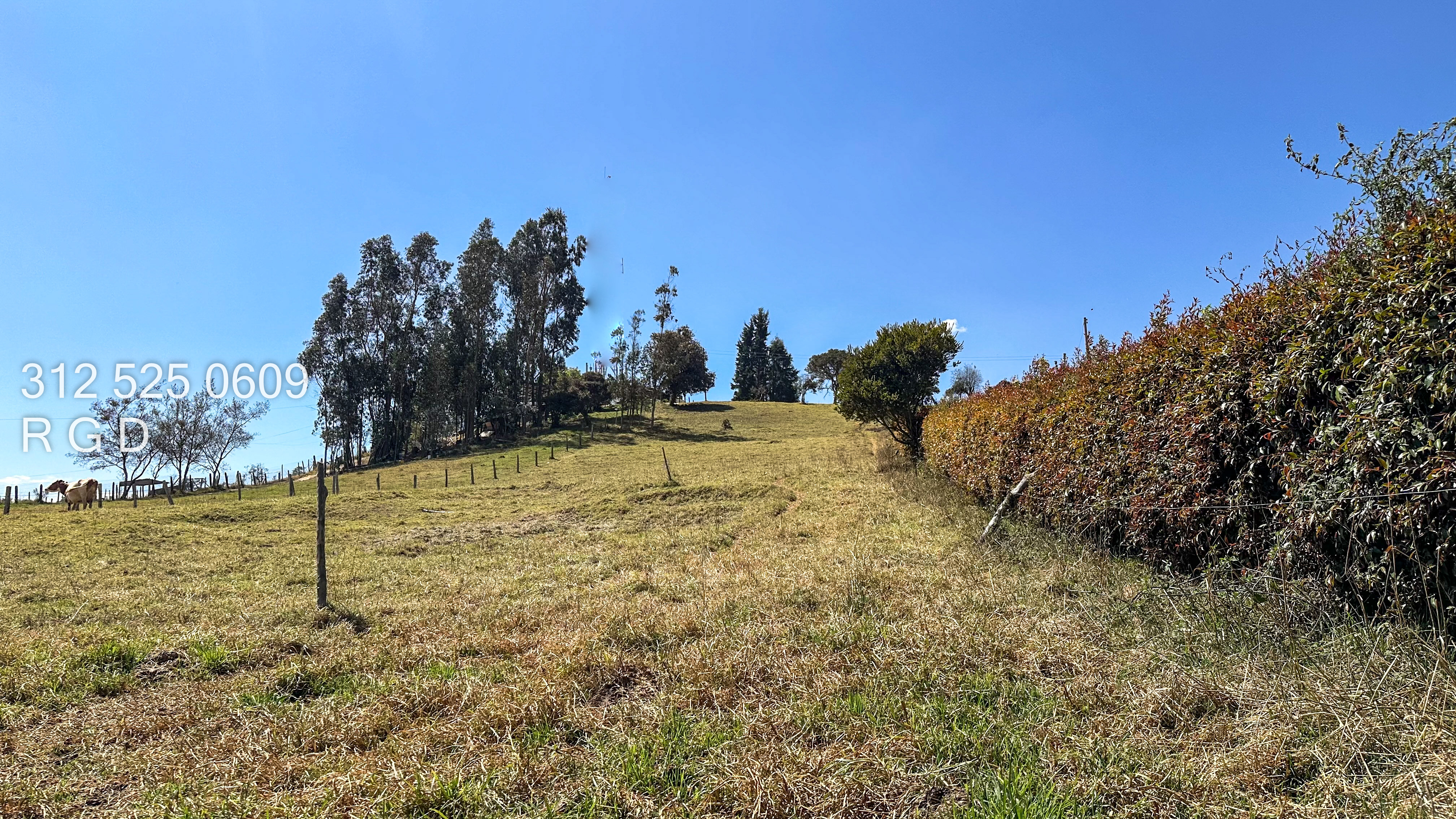 Lote en venta en Altos De Yerbabuena, Sopó, 7377 m² · foto 13 de 15