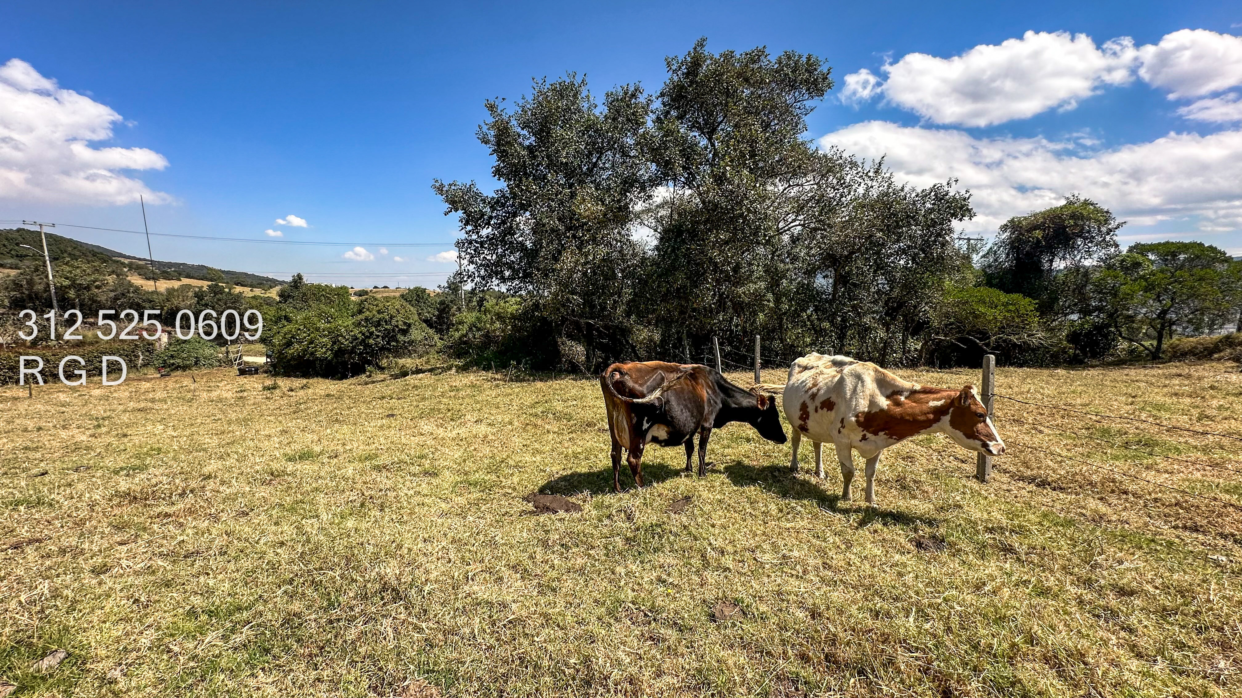 Lote en venta en Altos De Yerbabuena, Sopó, 7377 m² · foto 14 de 15