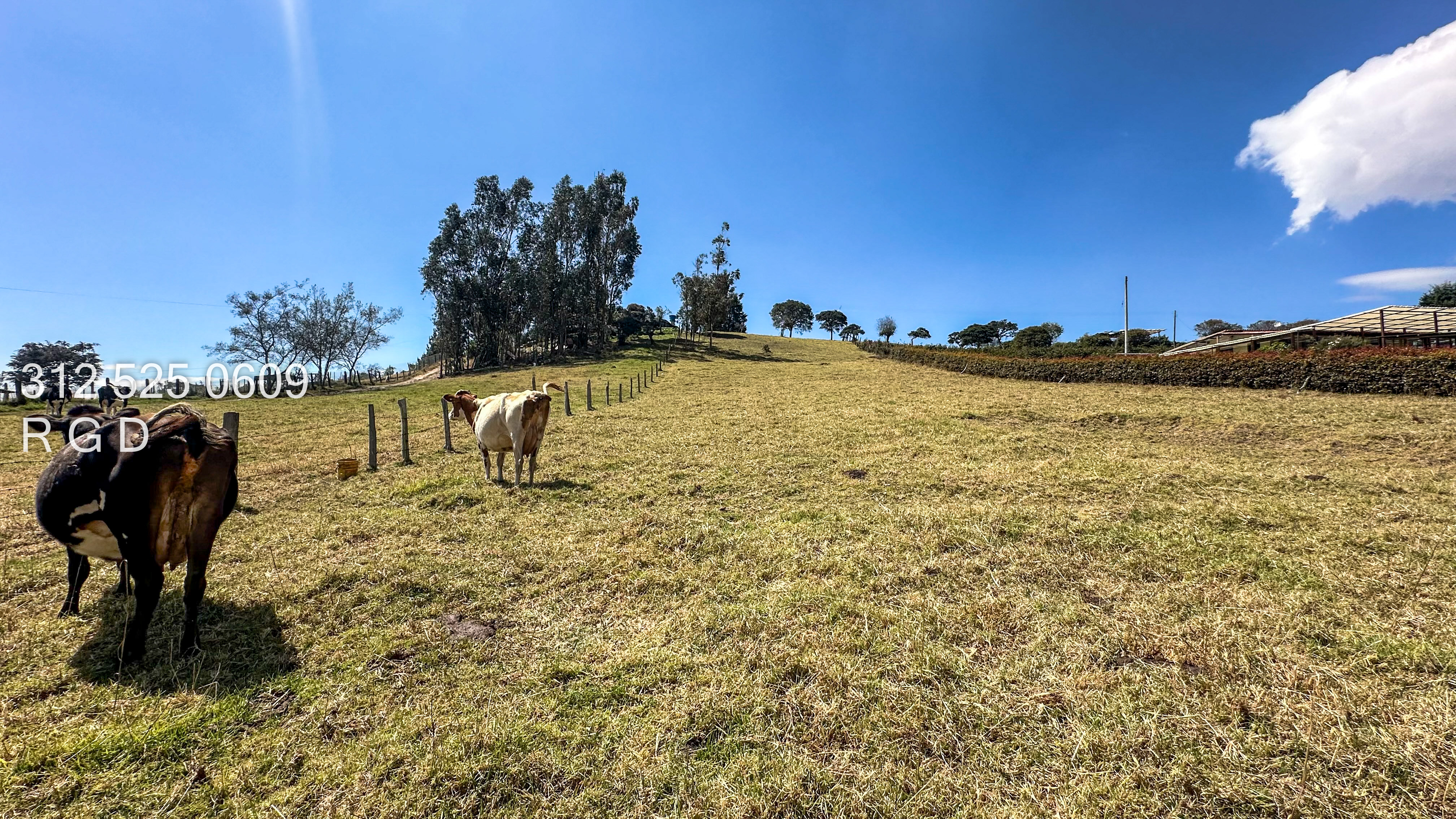 Lote en venta en Altos De Yerbabuena, Sopó, 7377 m² · foto 4 de 15
