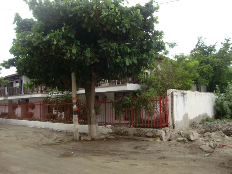 Edificio en venta en Timayui I, Santa Marta, 1640 m² · foto 5 de 24