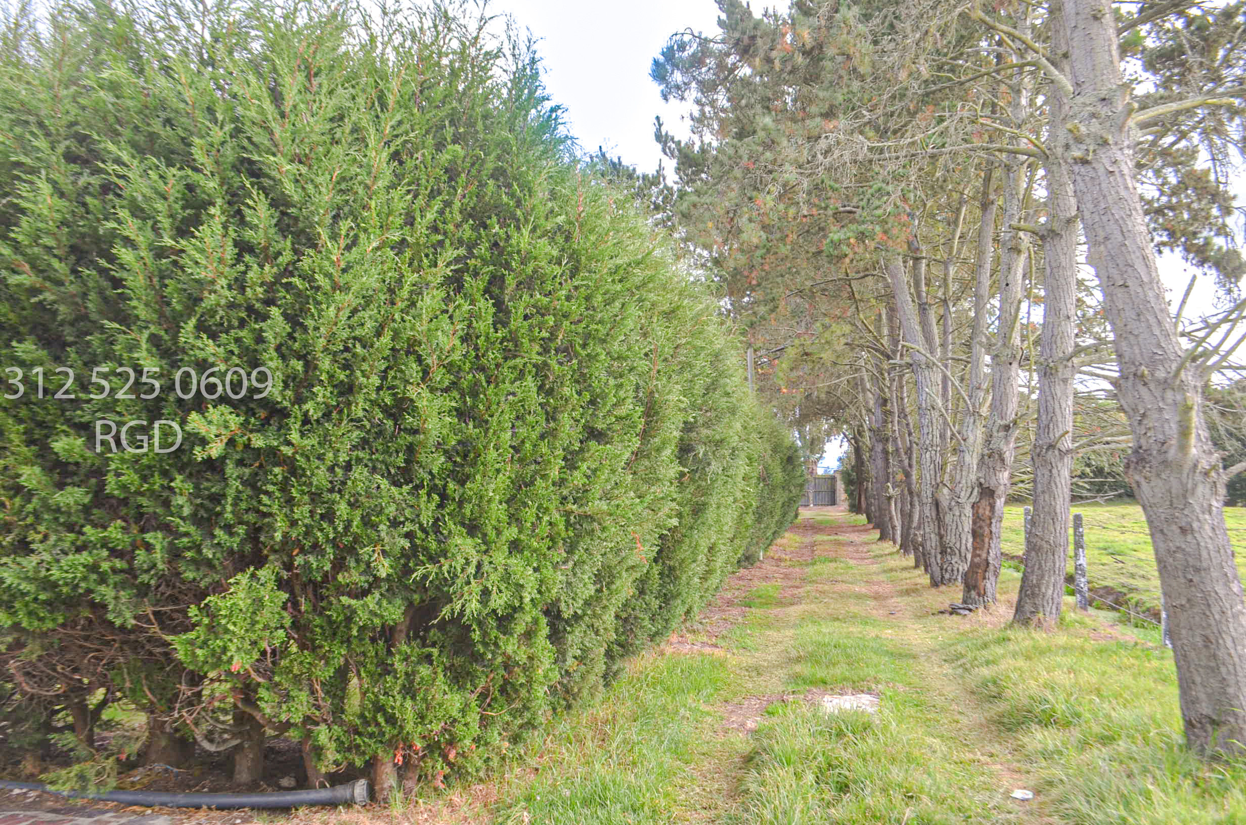 Lote en venta en Chuscal, Sopó, 25650 m² · foto 2 de 13