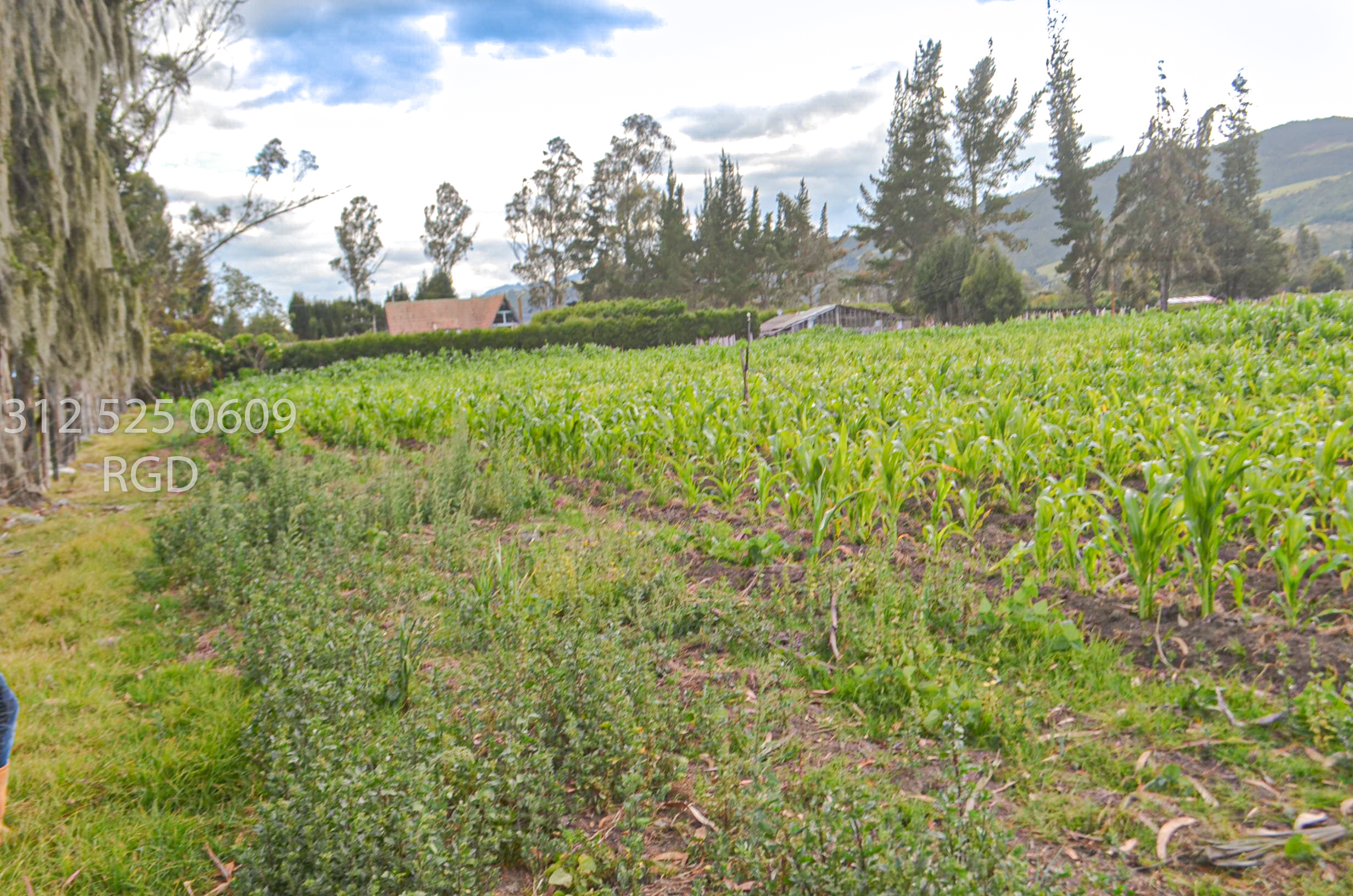 Lote en venta en Chuscal, Sopó, 25650 m² · foto 5 de 13