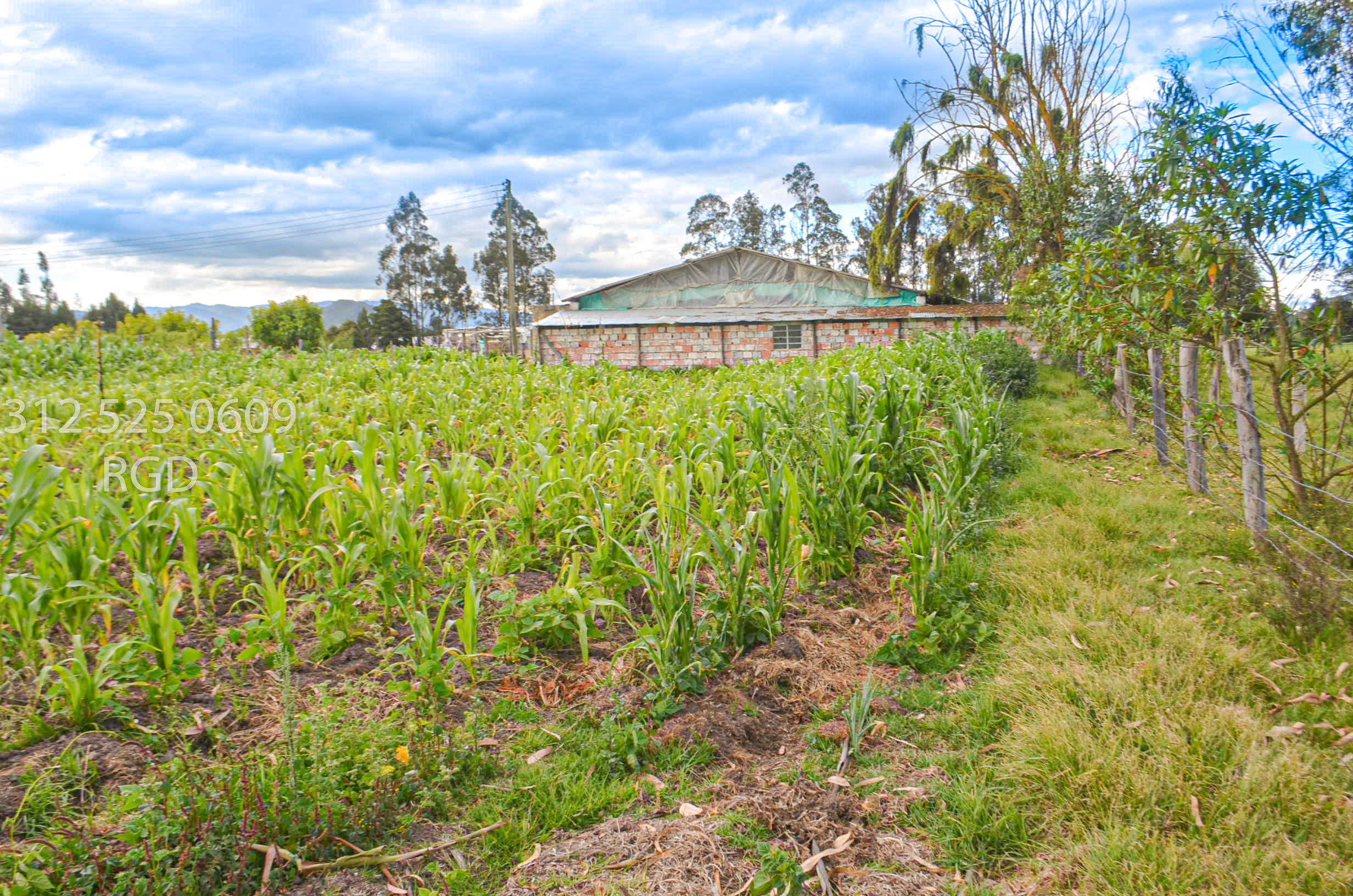 Lote en venta en Chuscal, Sopó, 25650 m² · foto 6 de 13