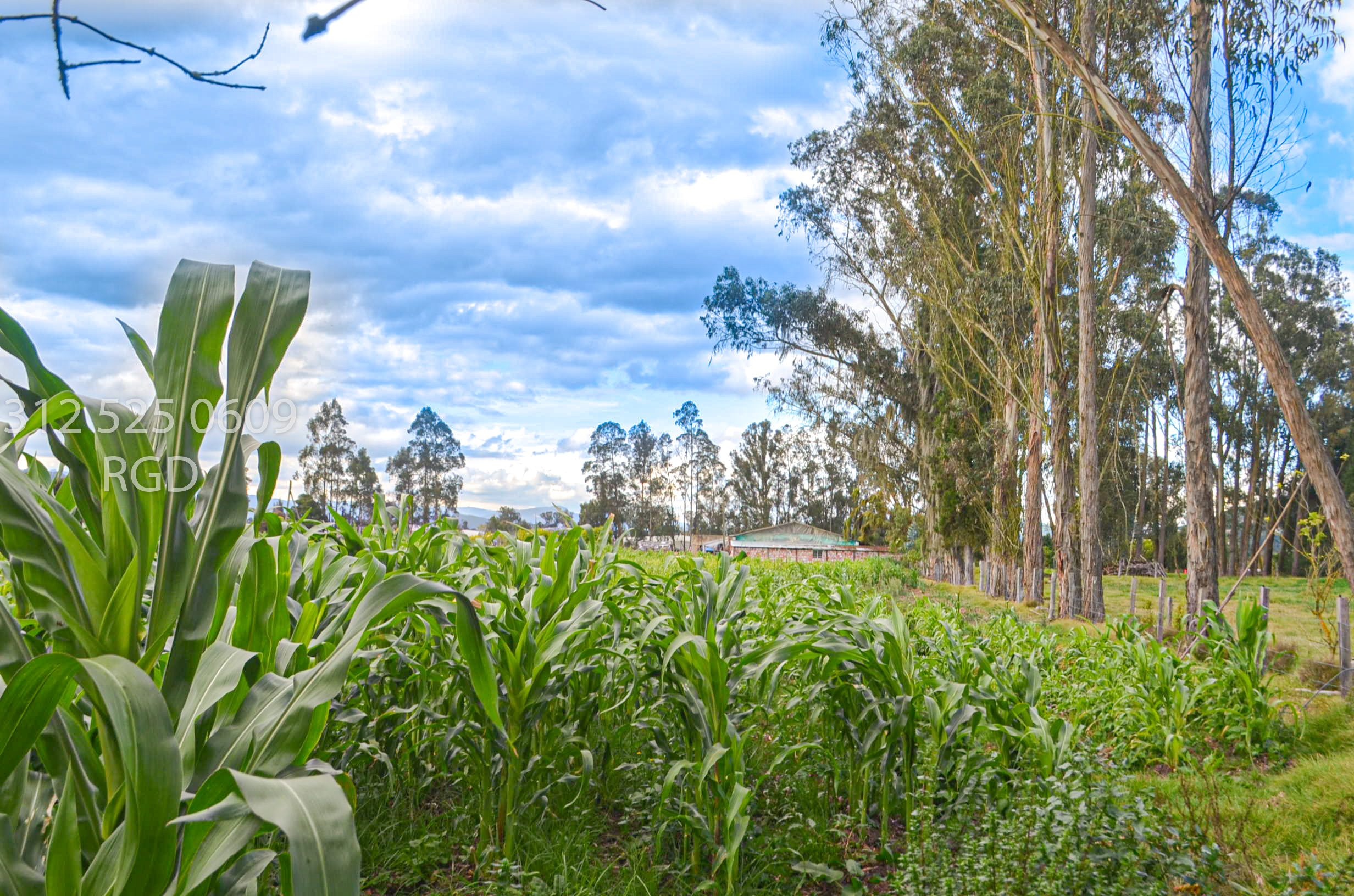 Lote en venta en Chuscal, Sopó, 25650 m² · foto 7 de 13