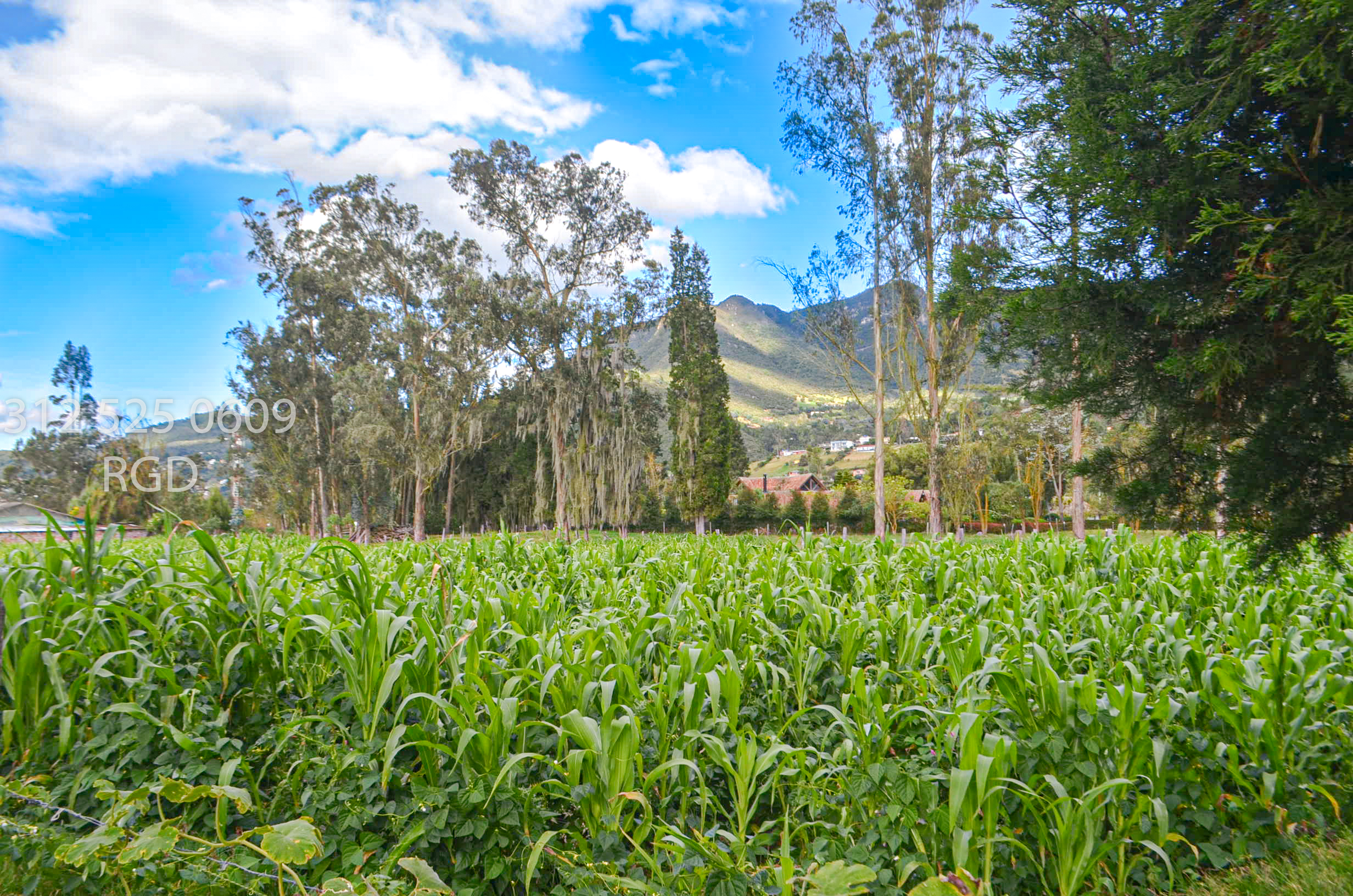 Lote en venta en Chuscal, Sopó, 25650 m² · foto 8 de 13