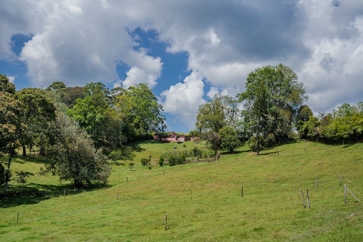 Land in Los salados (2296 m²) for Sale - 2