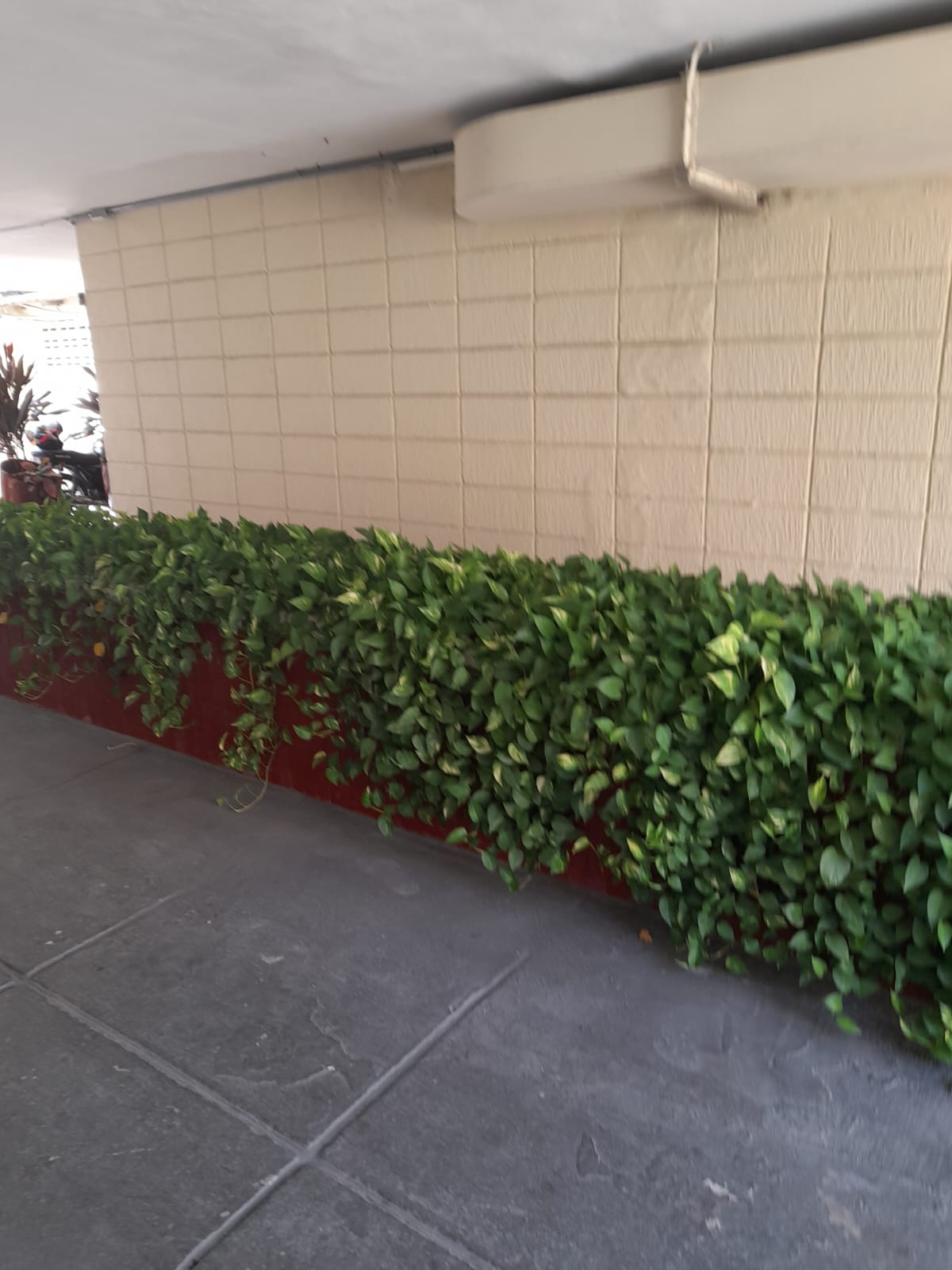 Apartamento en venta en El Prado, Barranquilla · foto 3 de 12