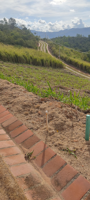 Lote en venta en Ruitoque Bajo, Girón, 1100 m² · foto 14 de 24