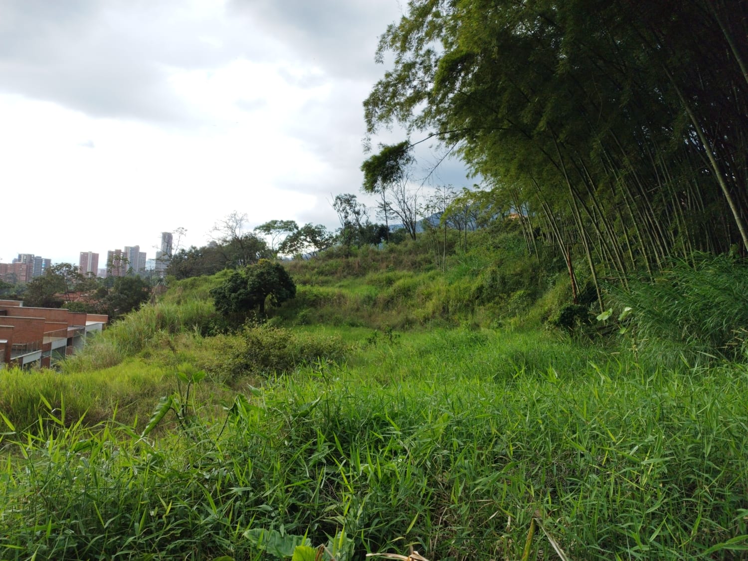 Lote en venta en Loma El Atravesado, Envigado, 6000 m² · foto 2 de 17