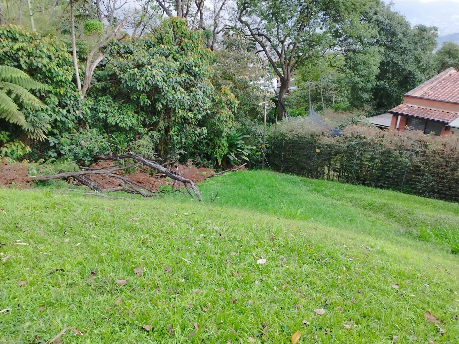 Lote en venta en Loma El Atravesado, Envigado, 6000 m² · foto 3 de 17