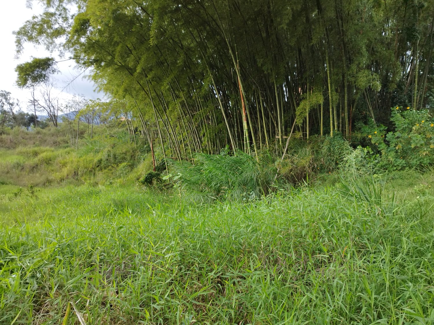 Lote en venta en Loma El Atravesado, Envigado, 6000 m² · foto 5 de 17