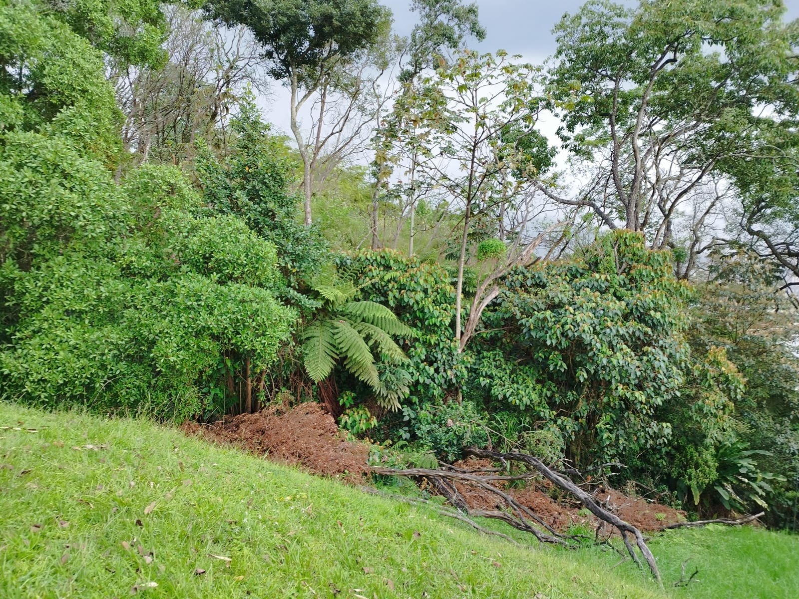 Lote en venta en Loma El Atravesado, Envigado, 6000 m² · foto 7 de 17