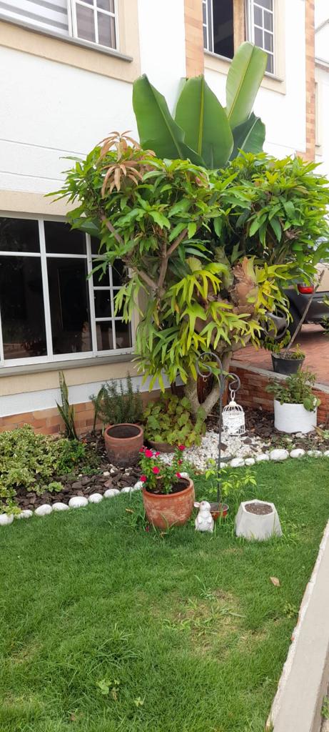 Casa de 3 alcobas en venta en Urbanizacion Portal Del Cacique, Bucaramanga, 157 m² · foto 3 de 11