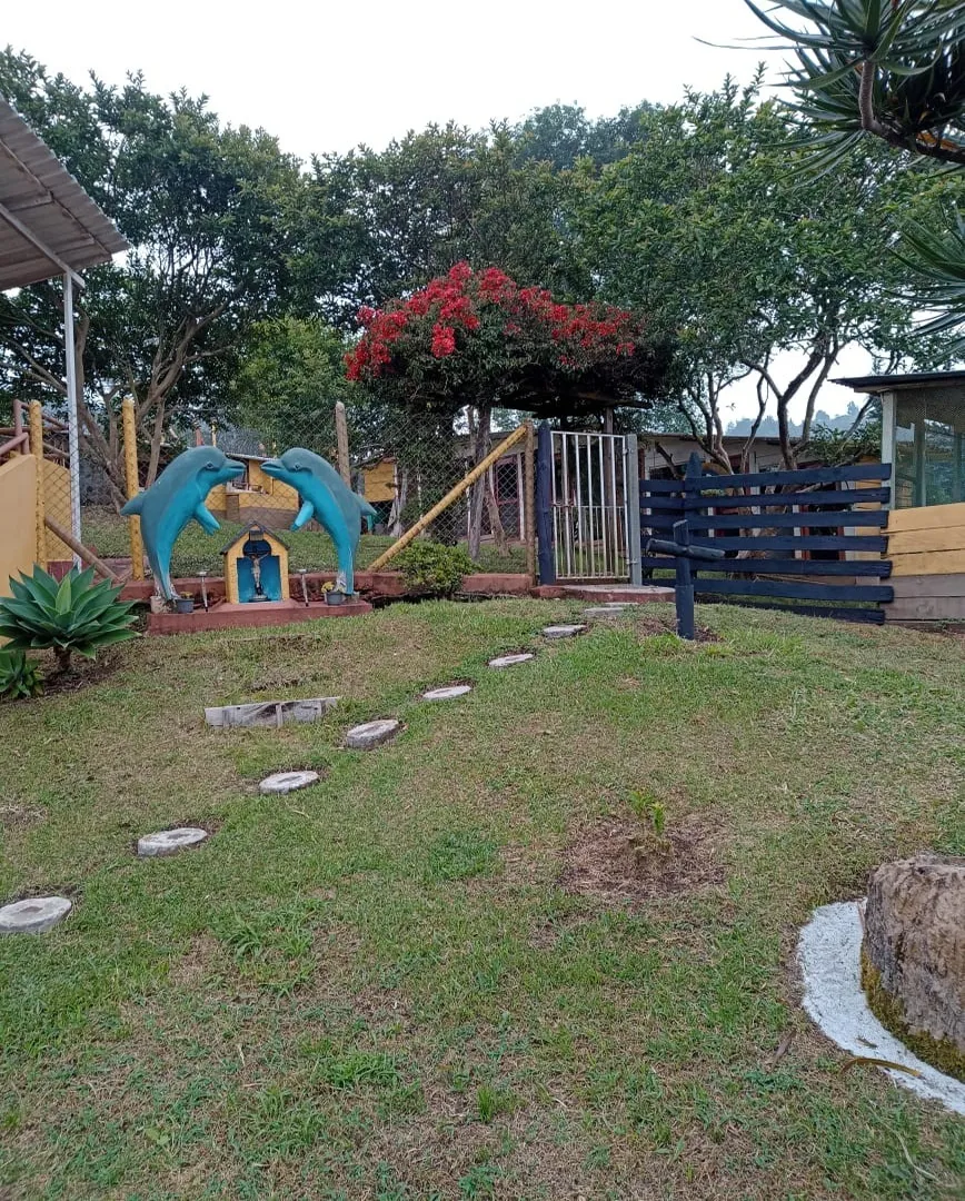 Finca en venta en Guarne, 179 m² · foto 4 de 23